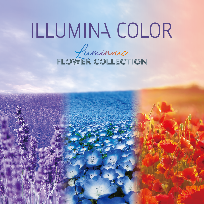 イルミナ新色│鮮やかにやわらかく発色するルミナスフラワー