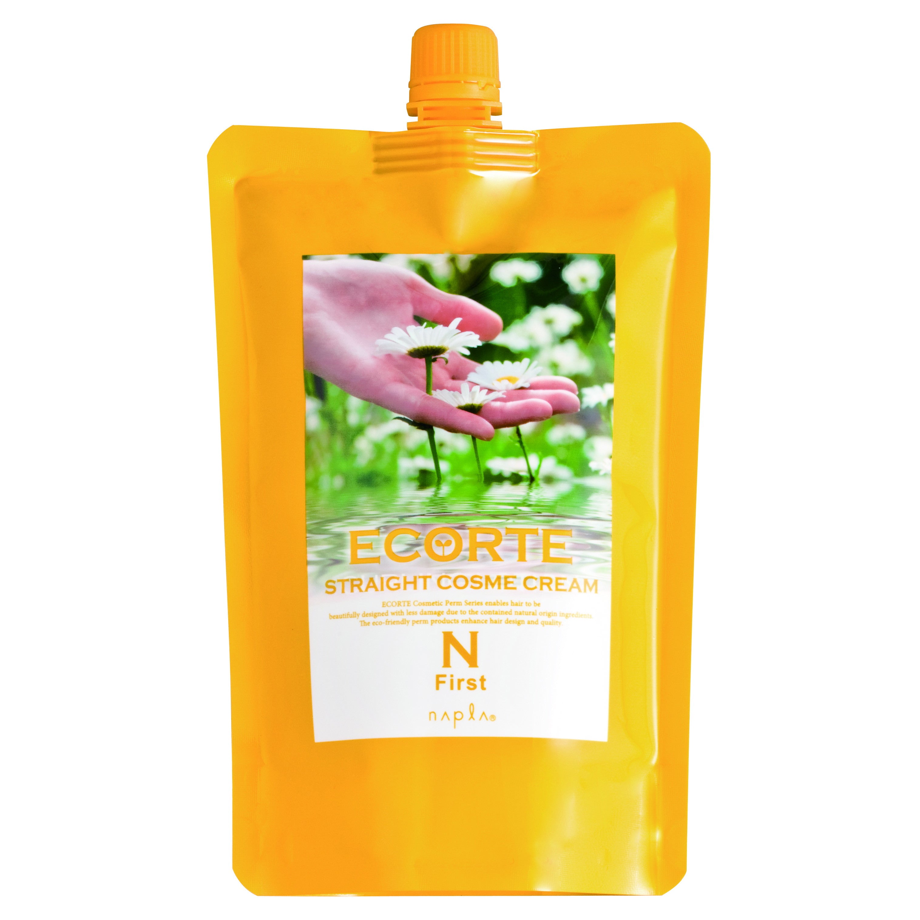 エコルテ ストレートコスメクリーム N 500g – DD