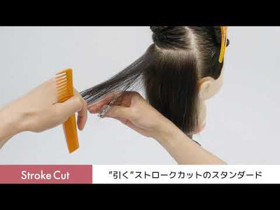 【Stroke Cut：”引く”ストロークカット編】トコトン学べる！質感・量感のスタンダードテクニック