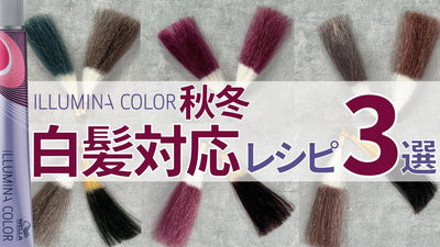 【イルミナカラー】オトナ世代にアプローチできる！秋冬おすすめレシピ