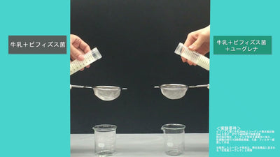 【実験動画】ユーグレナがビフィズス菌の働きを活性化