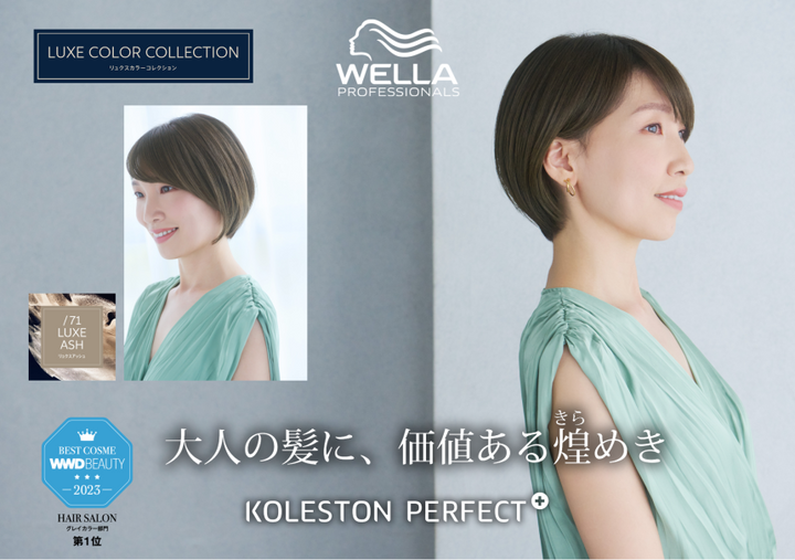 KPコレストン パーフェクト +(プラス) 3/71 80g – DD KPコレストン パーフェクト +(プラス) 3/71 80g – DD