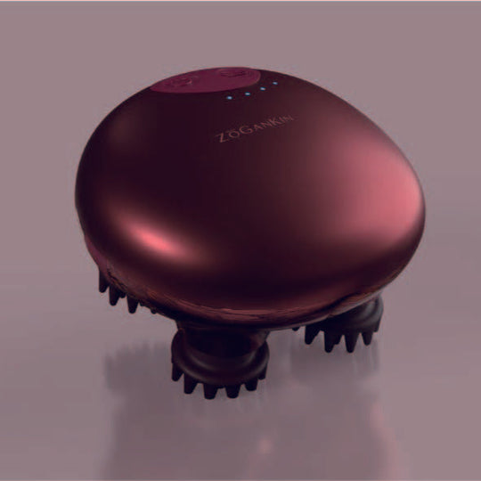 ゾーガンキンスカルプ 限定エディション