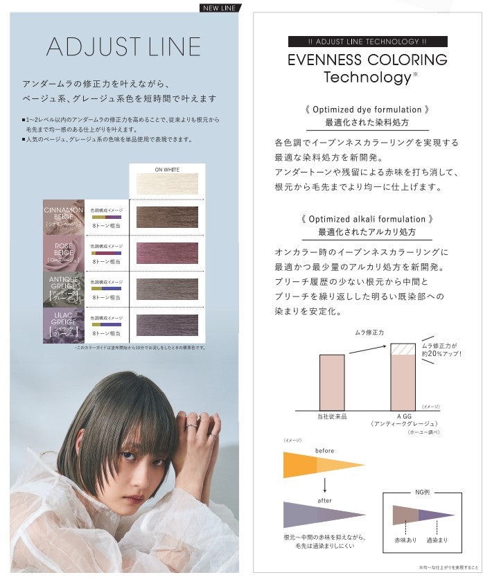 IROJIKAKE(イロジカケ) C BE(シナモンベージュ) 80g – DD