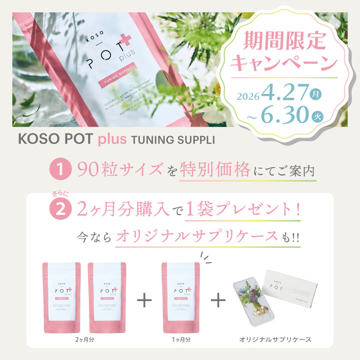 KOSO POT 酵素ポット チューニングサプリ 90粒 – DD
