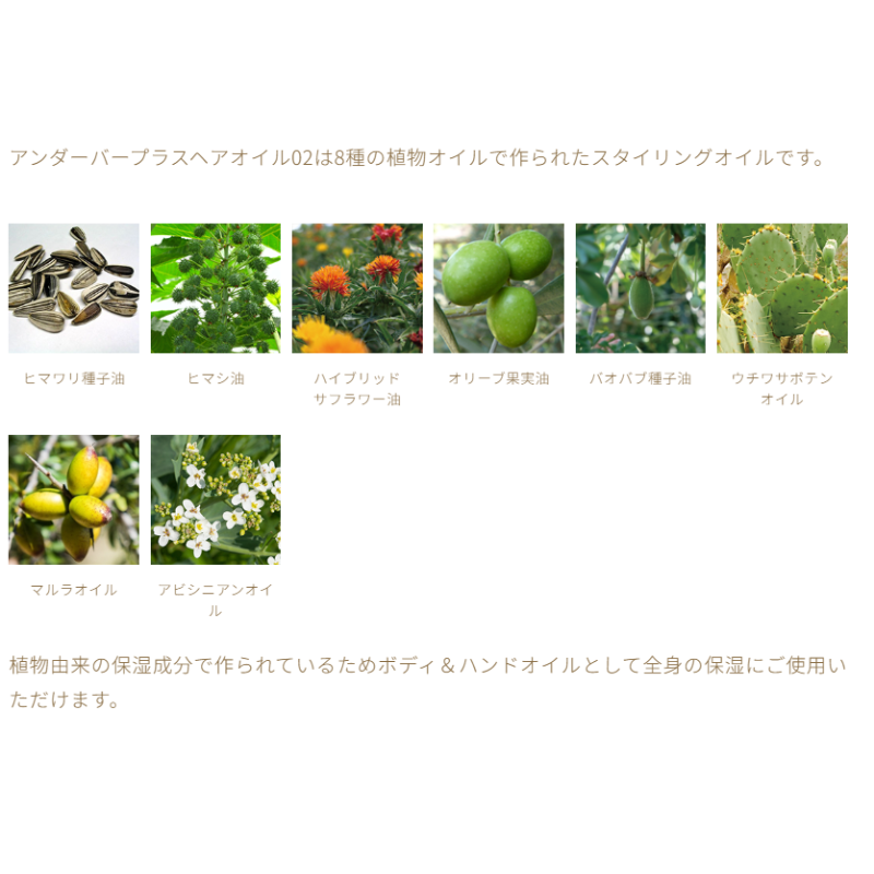 アンダーバープラスヘアオイル02 92ml