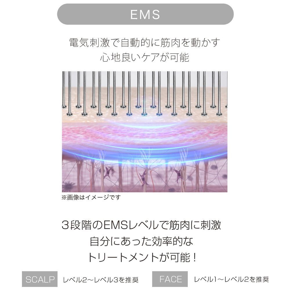 mous.EREBRU(エレブラ) – DD