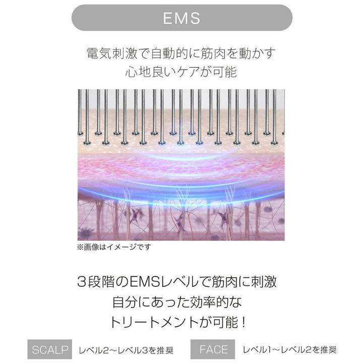 mous.EREBRU(エレブラ) – DD