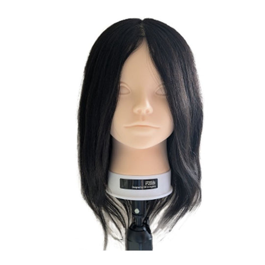 カットマネキン iP200dx