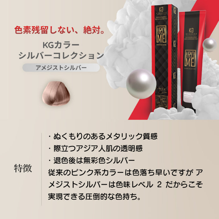 クロノクロス 凍てついた炎 特製シルバーチャーム（プレミアム