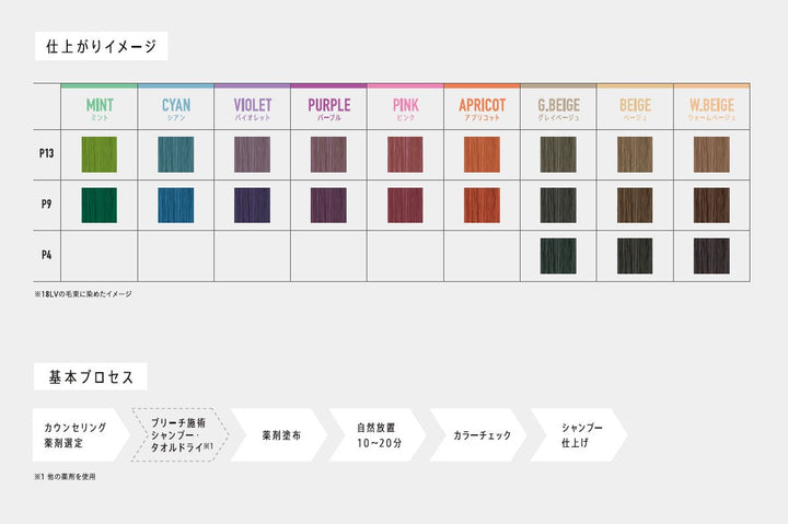 アジアンカラー フェス P9 ウォームベージュ(PURE)85g – DD