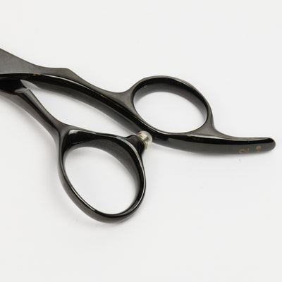 D-STANDARD 質感･量感セニング シャキシャキ 25% ブラック