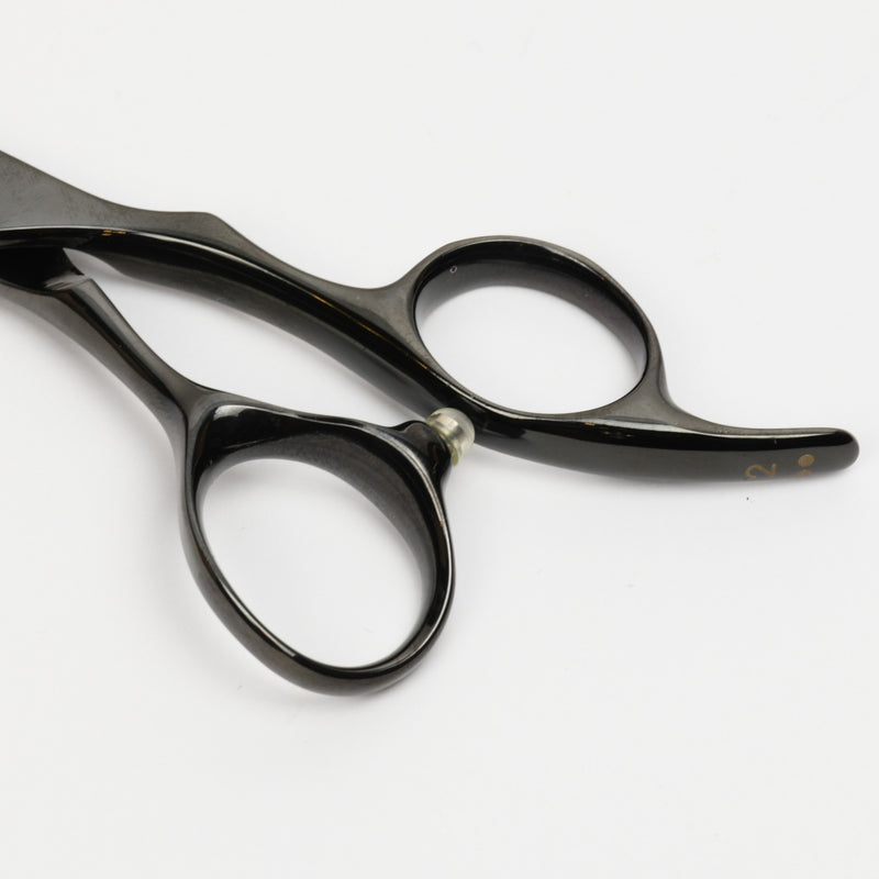 D-STANDARD 質感･量感セニング シャキシャキ 25% ブラック