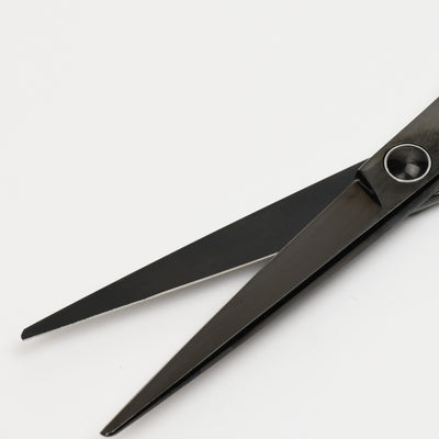 D-STANDARD シザー スパスパ 6.0 ブラック