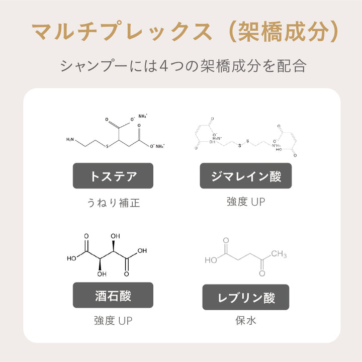 ESTABLISHED コアプレックス シャンプー&トリートメント1000ml ESTABLISHED コアプレックス シャンプー1000ml(レ) – DD