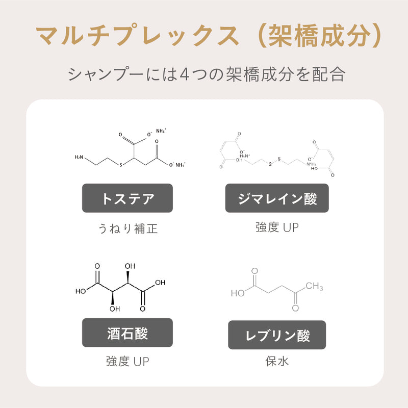 【デビュー特価】ESTABLISHED コアプレックス シャンプー400ml【-11/27迄】