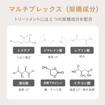 【デビュー特価】ESTABLISHED コアプレックス トリートメント400g【-11/27迄】