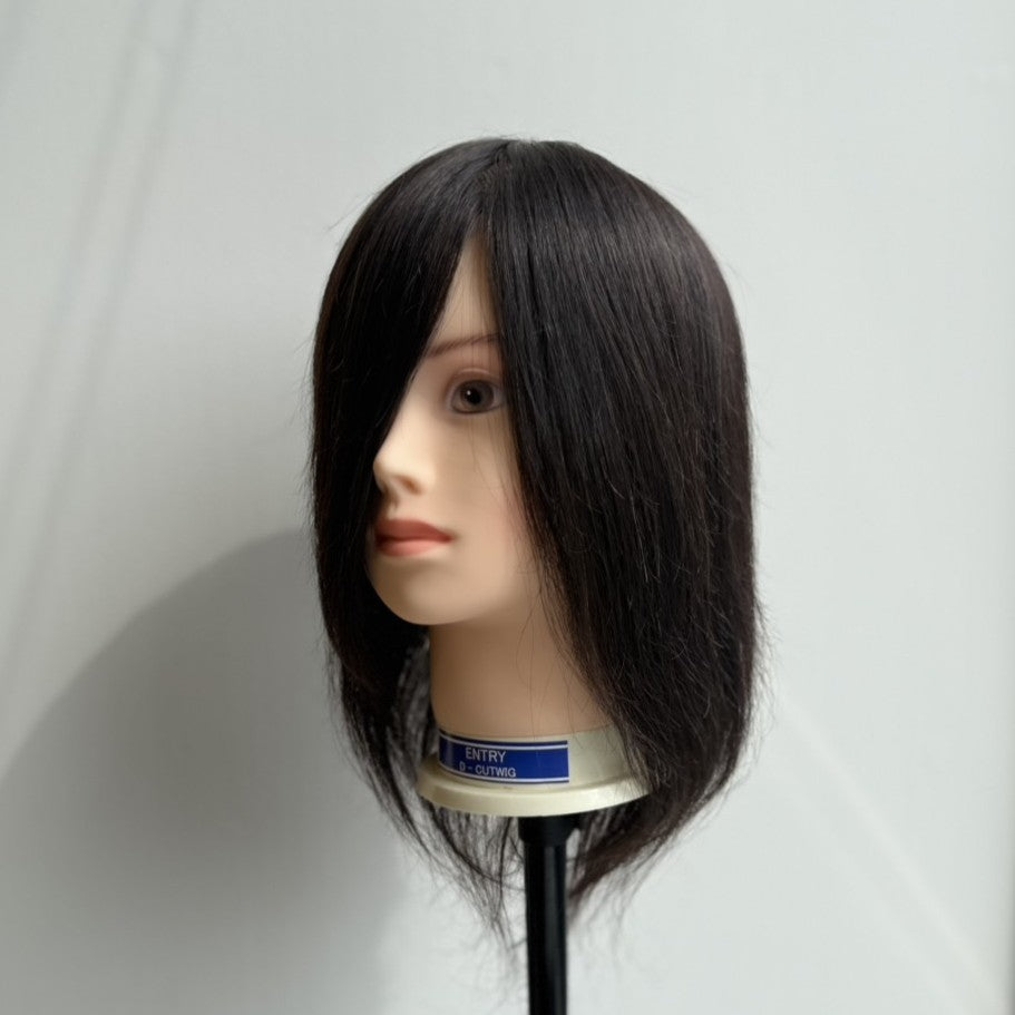 D-カットウィッグ エントリー　新品3台 D-カットウィッグ エントリー – DD