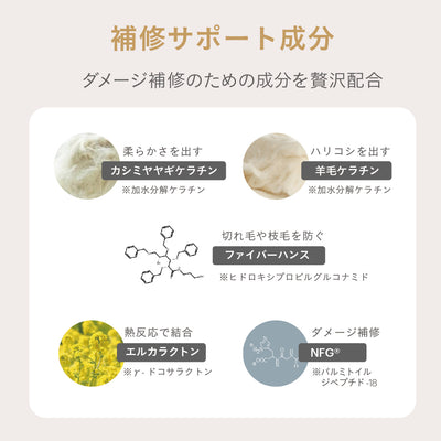 【デビュー特価】ESTABLISHED コアプレックス トリートメント400g【-11/27迄】