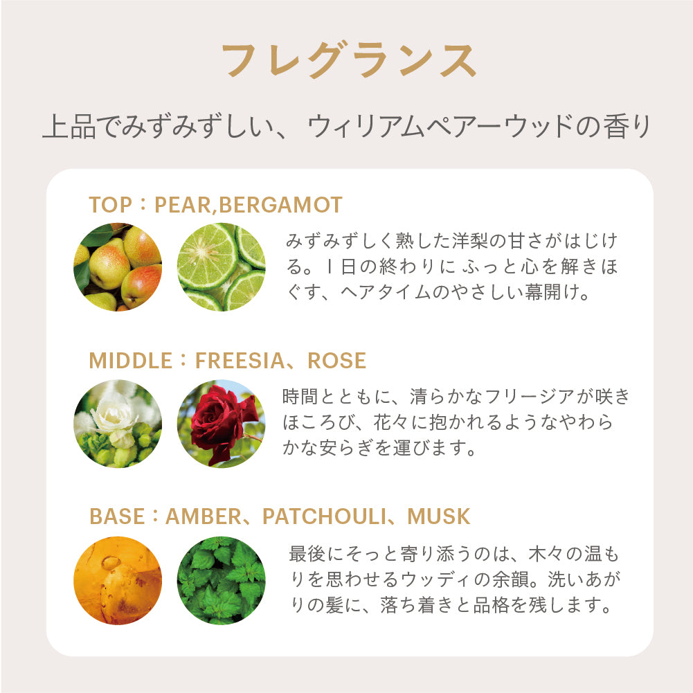 デビュー特価】ESTABLISHED コアプレックス シャンプー400ml【-11/27迄