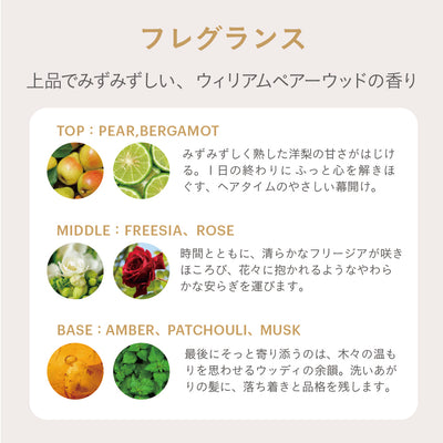 【デビュー特価】ESTABLISHED コアプレックス トリートメント400g【-11/27迄】