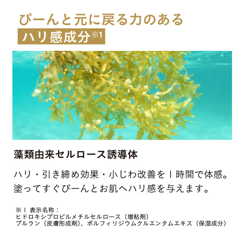【先行セール -9月末まで】SKIN POT ダブルリフトモイスチャーオールインワン 40g【※9/10お届け開始】
