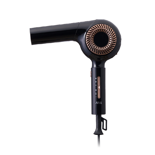 アイビル ブラシレスモーター ドライヤー ブラック BD-23D08