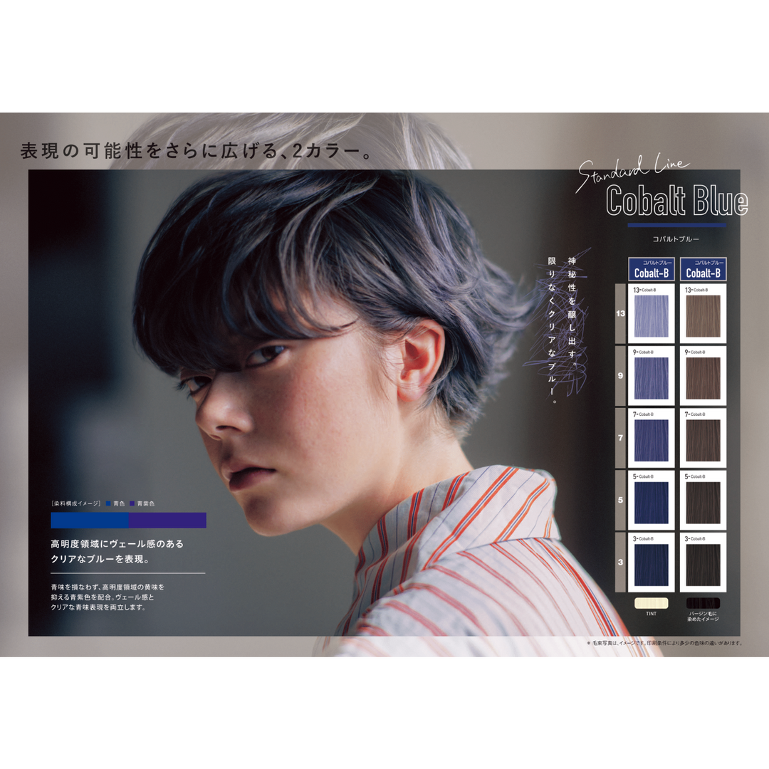 オルディーブ アディクシー 3-CB コバルトブルー 80g – DD