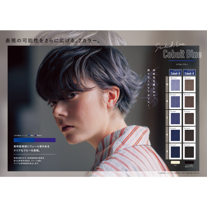 オルディーブ アディクシー 9-CB コバルトブルー 80g – DD