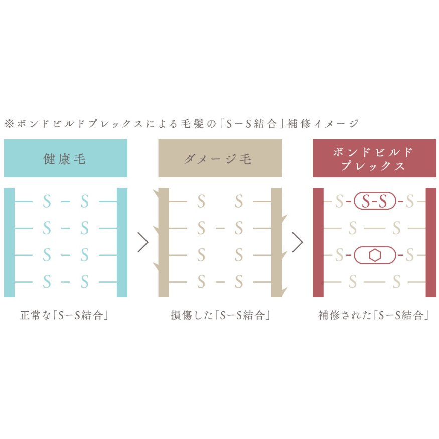 ボンドビルド プレックスミスト 200ml 詰め替え 1000ml セット ボンドビルド プレックスミスト 200ml 詰め替え 1000ml セット