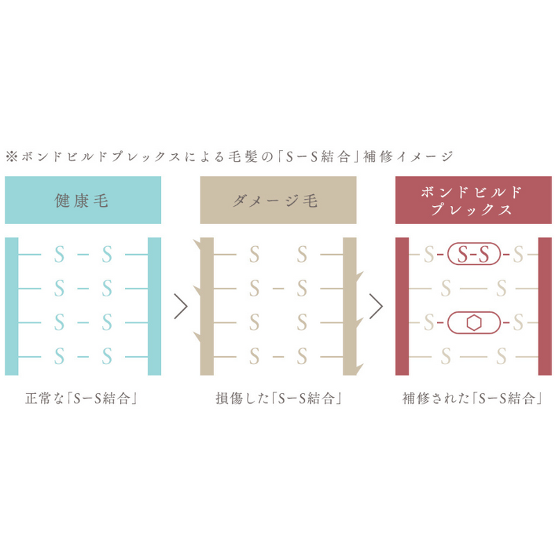 ボンドビルド プレックスシャンプー 1000ml