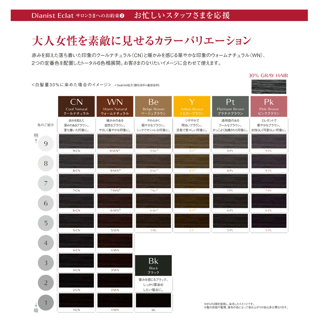 ３２本 新品未使用 資生堂 ディアニスト エクラ他 ディアニスト エクラ バウンシングリタッチ r5-CN – DD