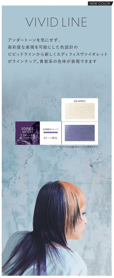 IROJIKAKE(イロジカケ) E VI(エディフィスヴァイオレット) 80g