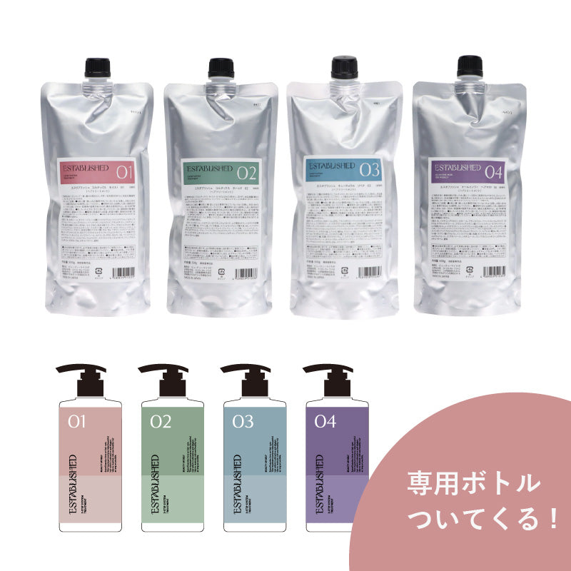 ESTABLISHED システムトリートメント 業務用セット 容器付き 【公式通販】