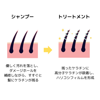 【TRIAL】Evi プレミアムバウンステックシャンプー 300ml