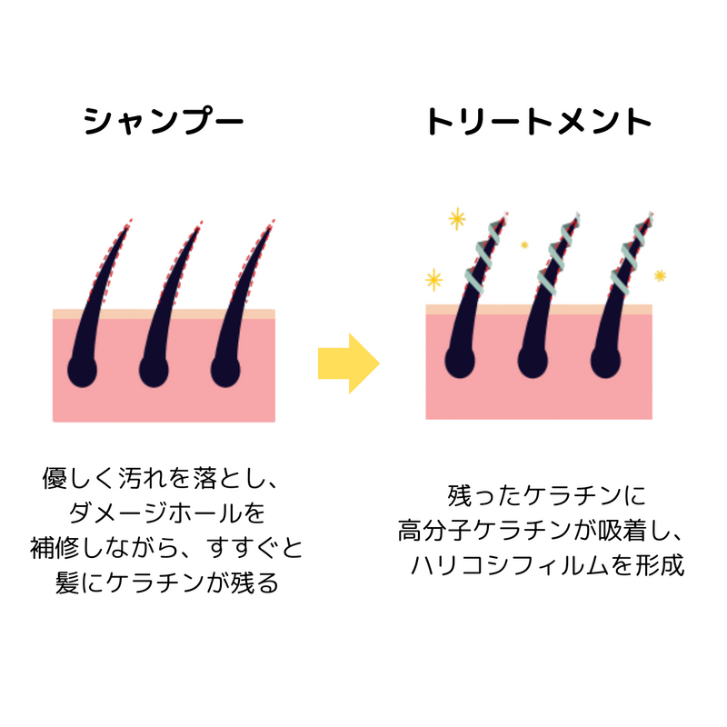 【TRIAL】Evi プレミアムバウンステックシャンプー 300ml