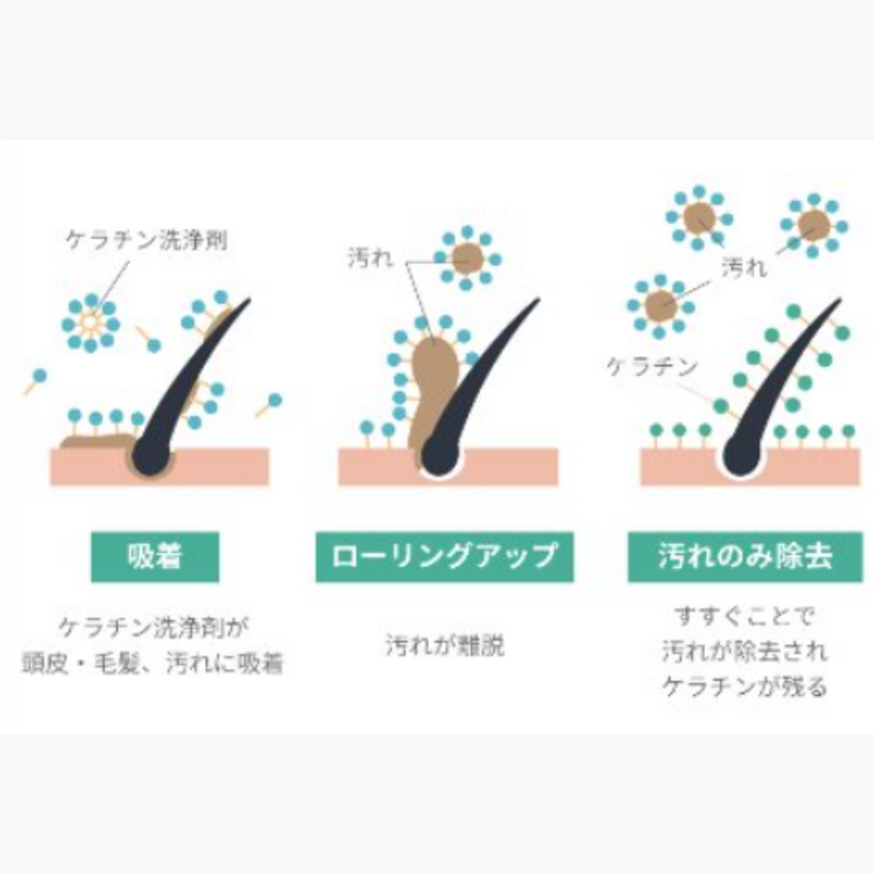 【TRIAL】Evi プレミアムバウンステックシャンプー 300ml