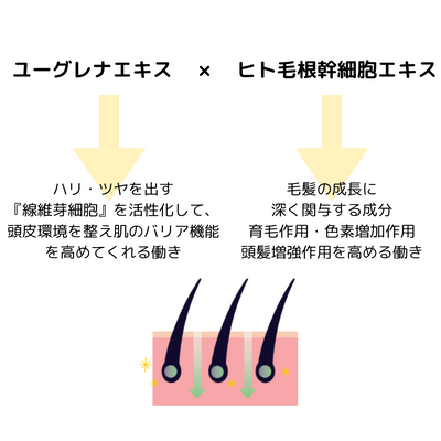 【TRIAL】Evi プレミアムバウンステックシャンプー 300ml