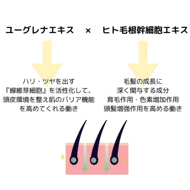 【TRIAL】Evi プレミアムバウンステックシャンプー 300ml