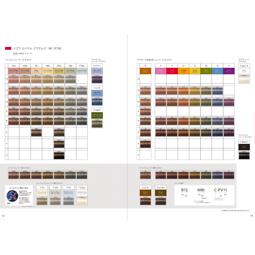 IGORAROYAL_PIXAM-F_63a21114-