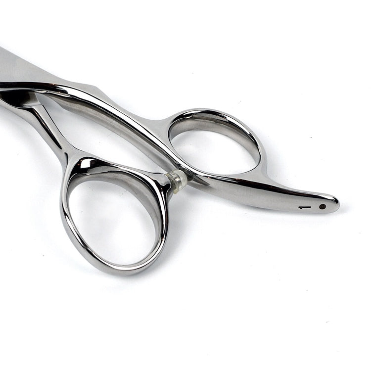 D-STANDARD シザー スパスパ 6.0 D-STANDARD シザー – DD