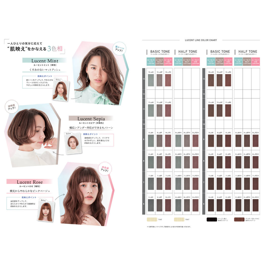 オルディーブ 9-LuSP/H ルーセントセピア 80g – DD