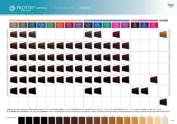 プロステップ ルミシャス B BL 14 80g – DD