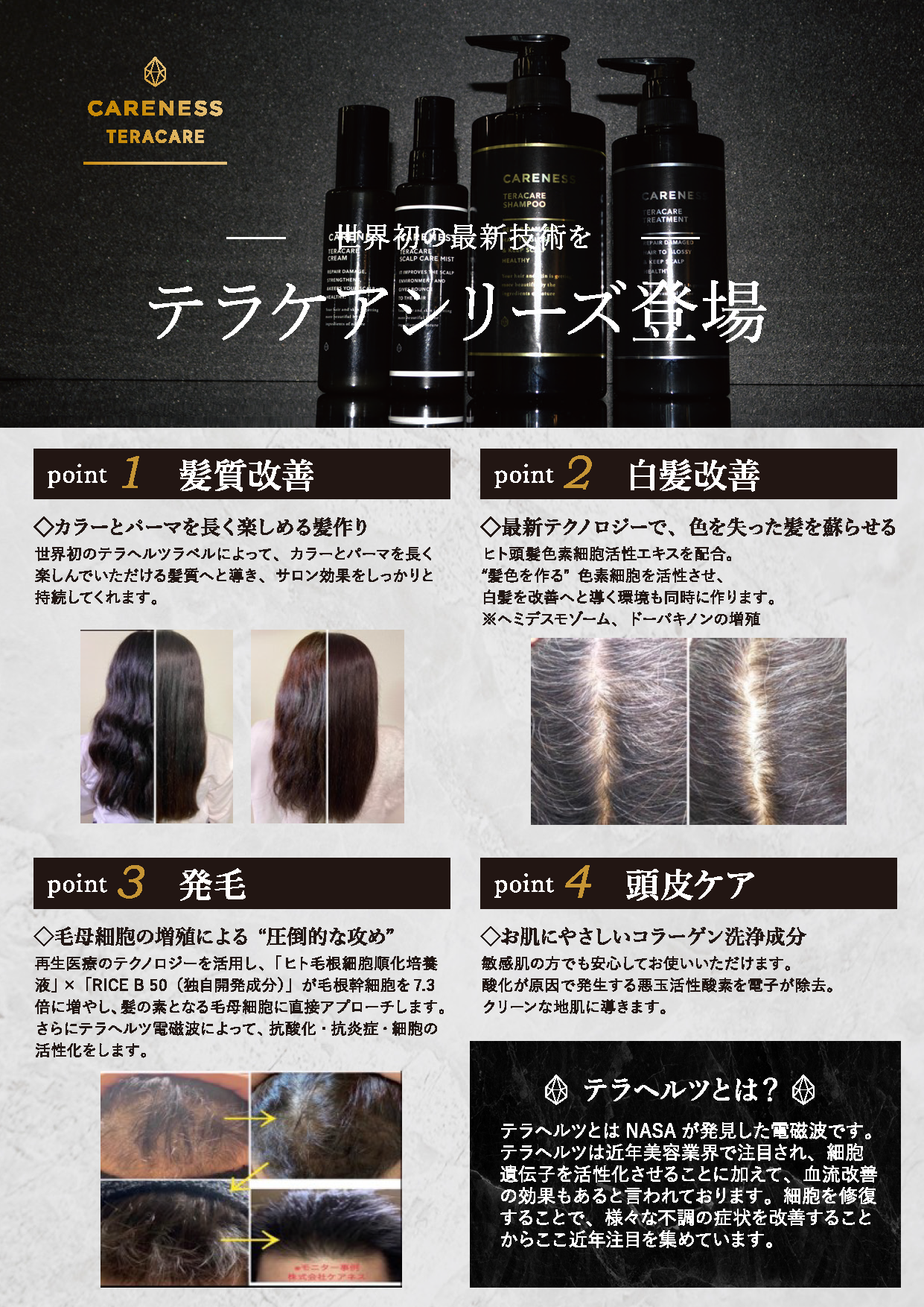 ケアネス テラケアシャンプー 500mL – D-ONLiNE