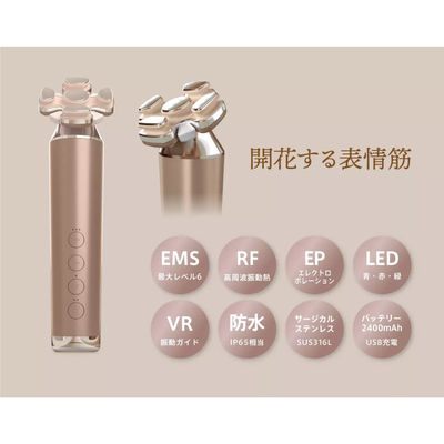 ゾーガンキン ブルーム