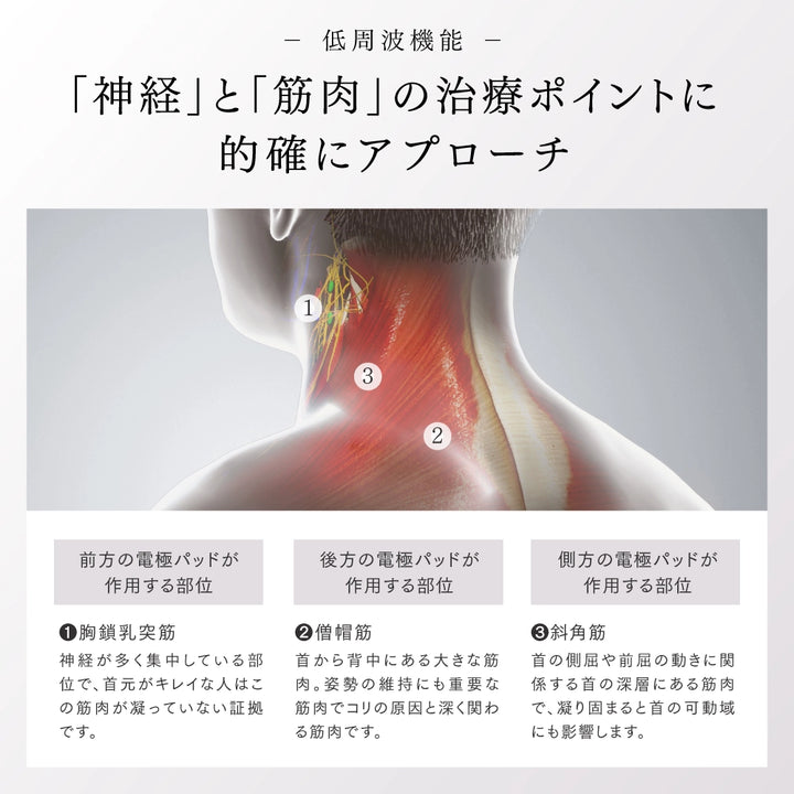 MYTREX マイトレックス DR.HEAT NECKブラック – D-ONLiNE