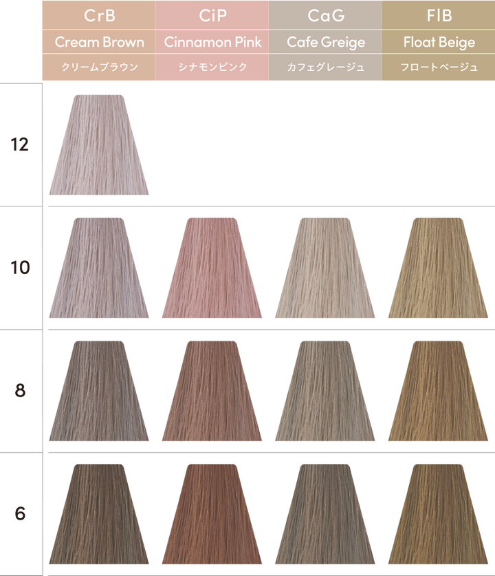 トイロクション 8/CIP 80g – DD