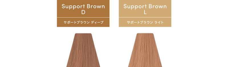 トイロクション サポートブラウン L 80g