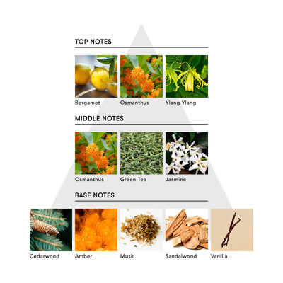 SINN ヘア オイルミルク / FACE OF MODESTY