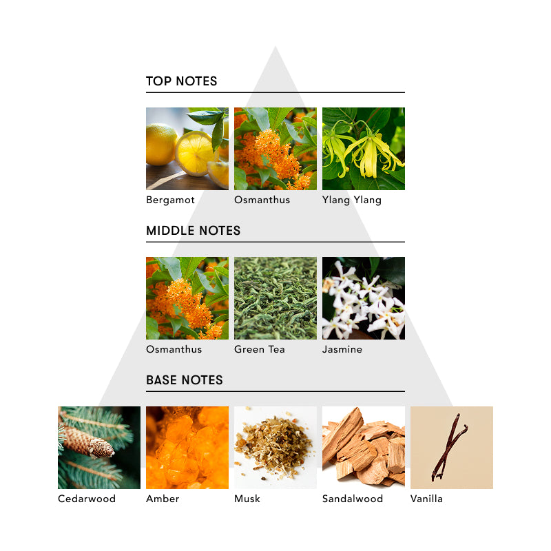 SINN ヘア オイルミルク / FACE OF MODESTY